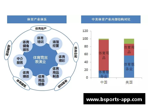 球员股权：赋能体育产业的新时代